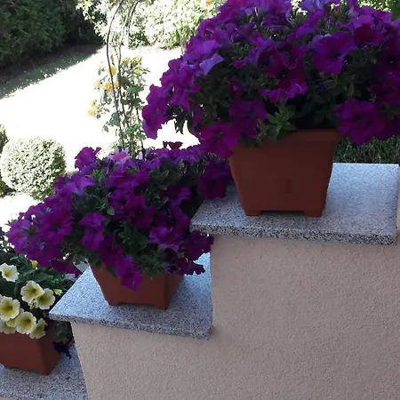 Apartmán Shafaly Mariánské Lázně